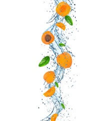 Fresh apricot with water splash