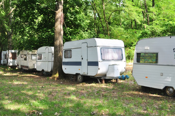 forest trailer