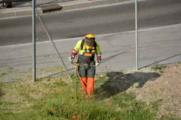 jardinero cortando la hierba de un parque