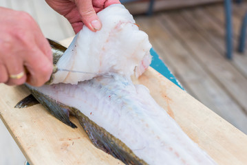 Filleting Fish