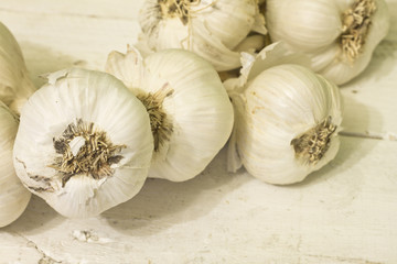 Group of garlic