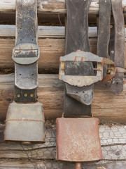 Glocken, Ziegenglocke, Alpen, Nutztiere, Sommer