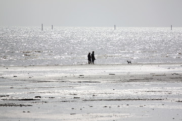 Fototapeta na wymiar Seashore at low tide.