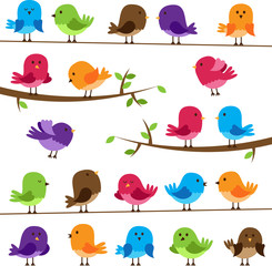 Naklejka premium Vector Set of Colorful Cartoon Birds