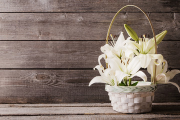 white lily in basket on wooden background