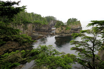 Coastal Cliffs in Washington State