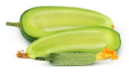 Young cucumber