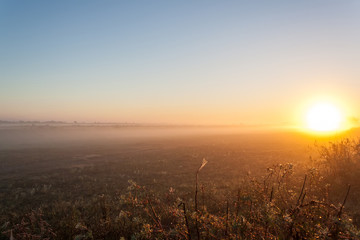 Sunrise over a field in the fog