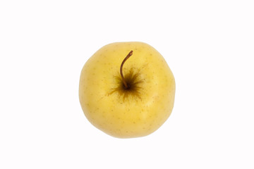 Yellow ripe apple