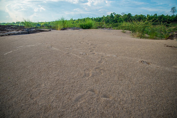 3000 bok ,Sam pan bok, Ubon-ratchathani, Grand Canyon of Thailan