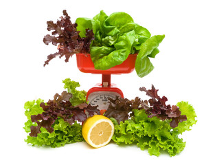 fresh lettuce, lemon and kitchen scales isolated on white backgr