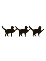 3 marschierende stolzierende Cats Team Freunde
