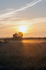 Sunrise over a field in the fog