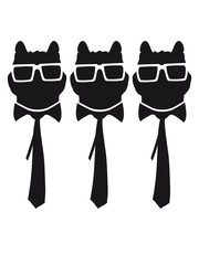 3 Kater Herren Brille Nerd Geek Krawatte Team