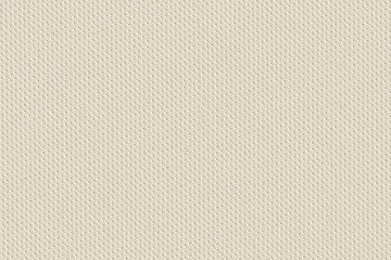 Artificial Eco Leather Off White Texture Sample