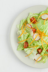 Salad with tomato, lettuce and radish
