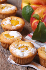 fresh peach muffins sprinkled with powdered sugar