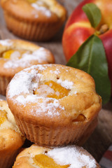 peach muffins with icing sugar closeup on the table. vertical