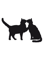 2 küssende Katzen Paar Pärchen Liebe