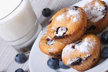 cupcakes with blueberries on a white plate and milk horizontal