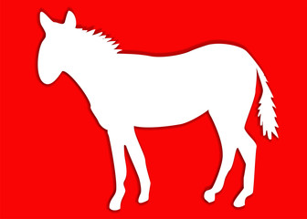 beyaz at tasarımı