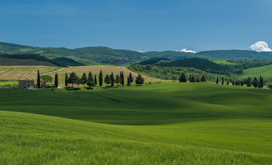 typical tuscan landscape