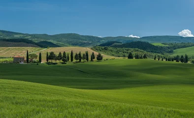 Tuinposter typisch Toscaans landschap © javarman