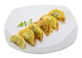 Japan dumplings - gyoza