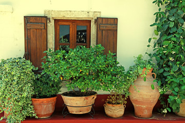 Window with wood shutters and flower pots (Crete, Greece)