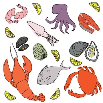 Set of hand drawn elements seafood. Retro vintage style seafood