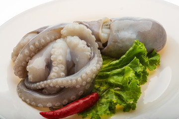 Raw octopus