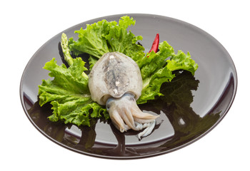 Raw cuttlefish