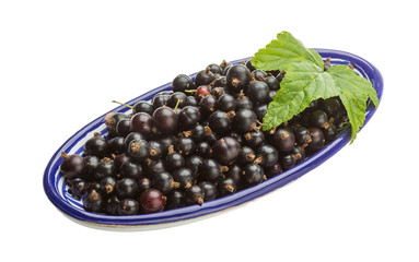 Black currant