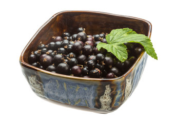 Black currant