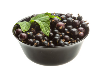 Black currant
