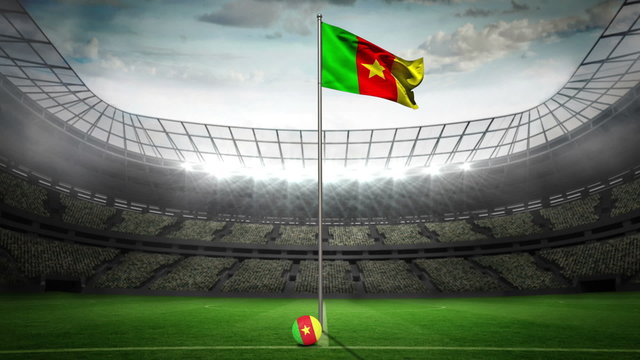 Cameroon national flag waving on flagpole