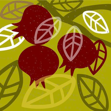 Pomegranate, Leaf, Branch on Green Background