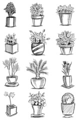 Grey Pots