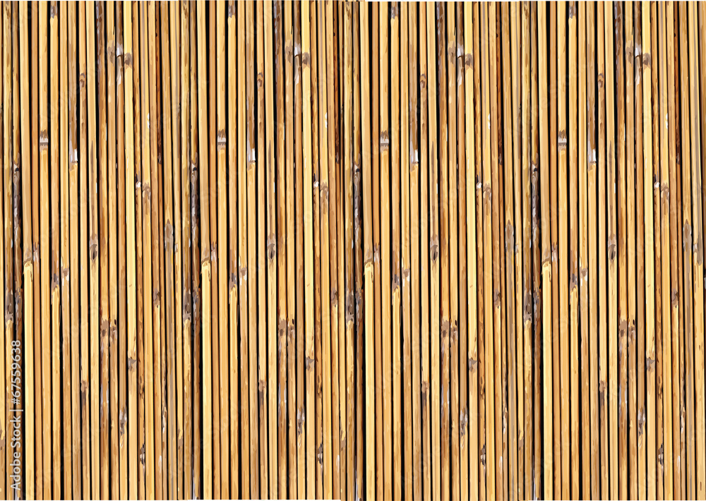 Wall mural bamboo background illustration