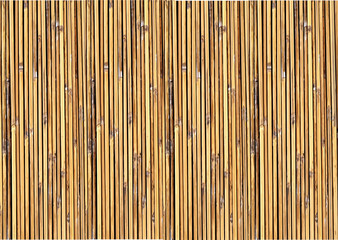 Bamboo background illustration