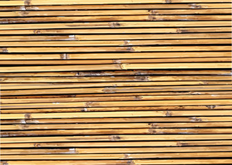 Bamboo background illustration