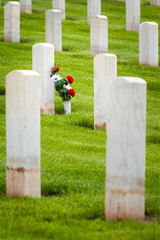 flowers in a military graveyard
