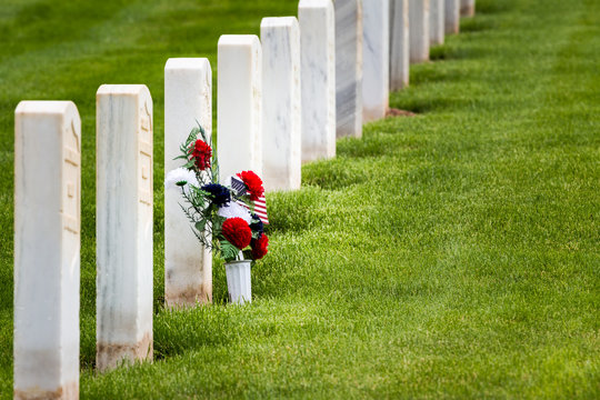 Flowers In A Military Graveyard