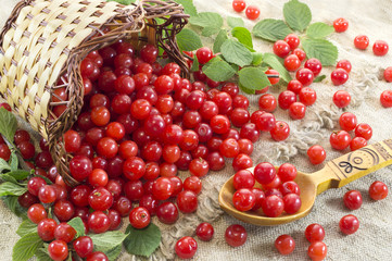 Pile of cherry with basket and spoon