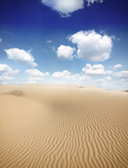 Fototapeta na wymiar Beautiful sand dunes in the Sahara desert, Tunisia