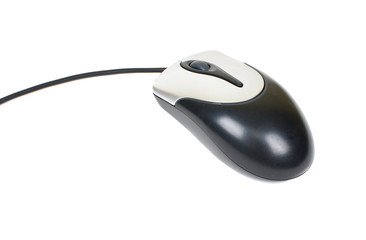 computer mouse isolated on white background