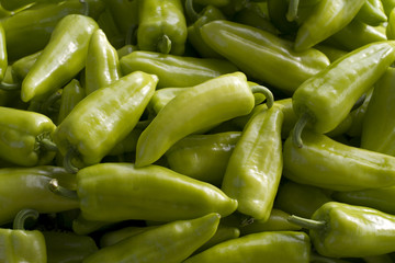 Green pepper