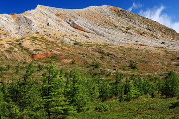 草津白根山