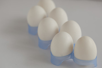 Seven Eggs in plastic tray 