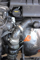 Fototapeta na wymiar Engine oil dipstick in a car engine